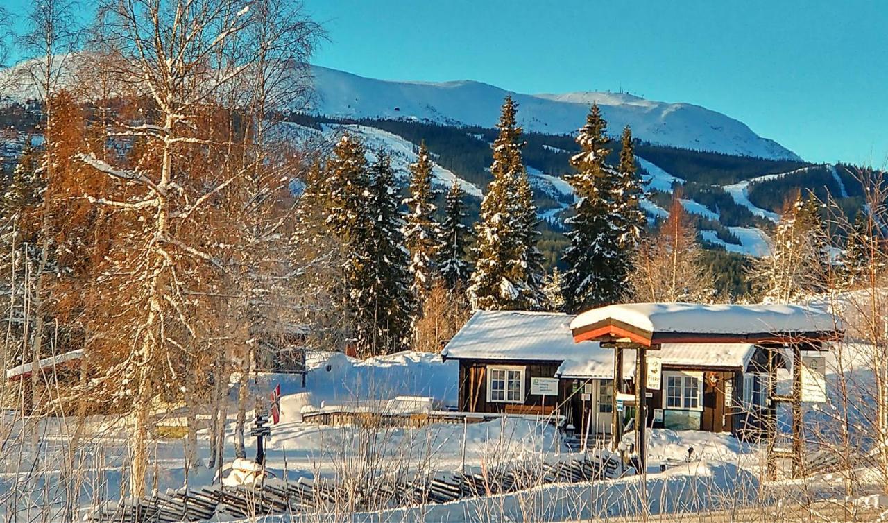 Trysil Hyttegrend Exterior foto